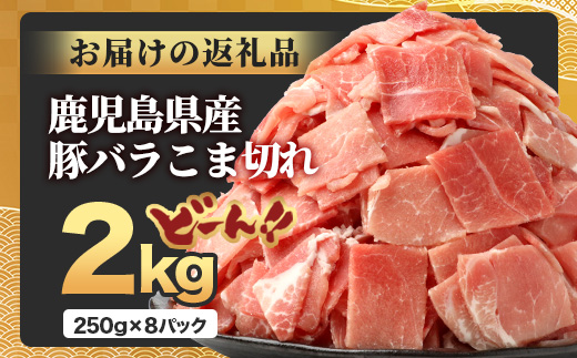 鹿児島県産 豚バラ切り落とし 計2kg HK-30 鹿児島県 南大隅町 国産豚 250g×8パック 豚肉切り落とし 豚バラ肉 小分け 豚キムチ 炒め物 焼肉 こま切れ 切り落とし 細切れ 小間切れ 薄切り スライス お肉 肉 豚肉 冷凍