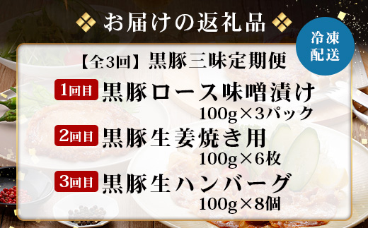 ≪全3回≫ 鹿児島県産 黒豚三昧 定期便 ♪ ＜ 黒豚味噌漬け 生姜焼き 生ハンバーグ ＞ ★☆＼＼ 黒豚ロース味噌漬け バナナマンの早起きせっかくグルメで紹介されました！！／／☆★ 南州農場 かごしま黒豚 NS-29 | 肉 お肉 豚肉 豚 にく ぶた 鹿児島黒豚 ハンバーグ 味噌漬け 生姜焼き おかず ジューシー お弁当 国産 肉定期便 鹿児島県 南大隅町 南州農場