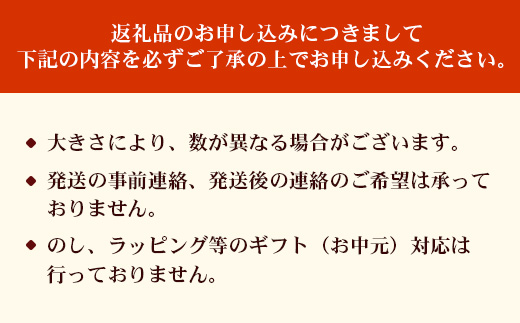 【2026年・先行予約】【訳あり】家庭用パッションフルーツ1kg （約11～12個）濱田農園 HB-707 ｜先行予約 産地直送 新鮮 パッション フルーツ 南大隅町 果物 果実 プレゼント濱田農園 家庭用 人気 南国フルーツ 鹿児島県 南大隅町 hello! brand new days