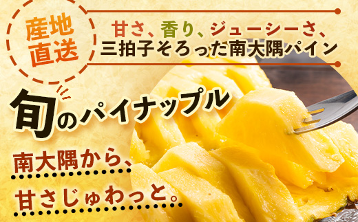 【先行予約・数量限定！】国産パイナップル　約3ｋg（3～5玉）～なか農園おまかせセット～ NK-001｜パイナップル パイン フルーツ 果物 くだもの 先行予約 数量限定 産地直送 新鮮 旬 ハワイ種 ピーチパイン ゴールドダイヤモンド ボゴール なか農園 鹿児島県 南大隅 