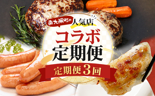 ≪定期便3回≫南大隅町 大人気店の自慢の味 コラボ定期便 NI-9｜本土最南端 加工品 惣菜 おかず お弁当 月替わり 毎月おとどけ 焼くだけ バラエティ 食べ比べ 3回 簡単調理 ストック 精肉店 ファーム 豚 鹿児島県 南大隅町 なんたん市場