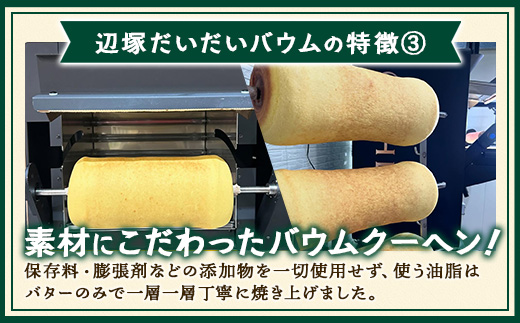  ≪極≫ 辺塚だいだい バウムクーヘン　1個 ｜菓子 おかし スイーツ デザート バウムクーヘン 食品 人気 おすすめ 柑橘 SH-713
