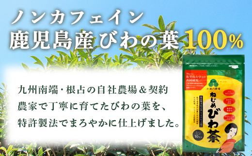 【鹿児島県産】ねじめびわ茶 飲み比べ セット + びわ茶塩飴付き(化粧箱入) TO-406|ねじめびわ茶 ノンカフェイン ティーバック ボトル缶 飴 国産 お茶 健康茶 ポリフェノール 無香料 無着色 さわやか 甘み 香ばしい おいしい びわの葉 トルマリン石焙煎 産地直送 ギフト 贈答 鹿児島県 南大隅町 十津川農場