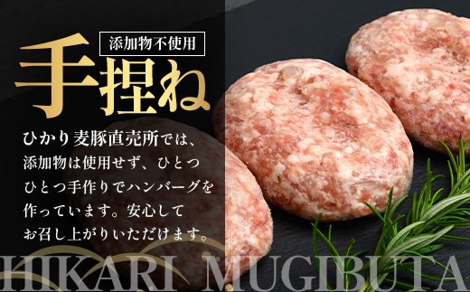 鹿児島県産 ひかり麦豚 手捏ねハンバーグ セット サイズ違い 大中小 計22個 | 肉 お肉 にく 豚肉 黒豚 かごしま黒豚 手ごね 絶品 ハンバーグ 添加物不使用 肉汁 ジューシー おかず お弁当 ロコモコ 冷凍 産地直送 小分け 甘み 鹿児島県 南大隅町 ひかり麦豚直売所 HM-705