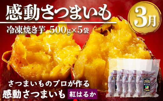 【定期便・ 年4回】農家の感動シリーズＢ( 冷凍焼き芋 ゴールドラッシュ 塩茹で落花生  紅はるか )（AX72306）