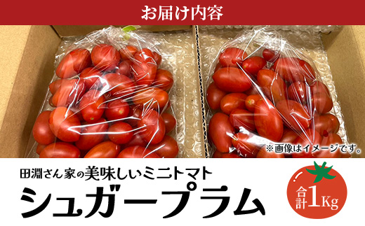 《期間限定》田淵さんちの美味しい ミニトマト シュガープラム（約1kg）GP-1｜鹿児島県 南大隅 産地直送 旬 とまと トマト ミニトマト リコピン 完熟 甘い 高糖度 野菜 やさい 送料無料