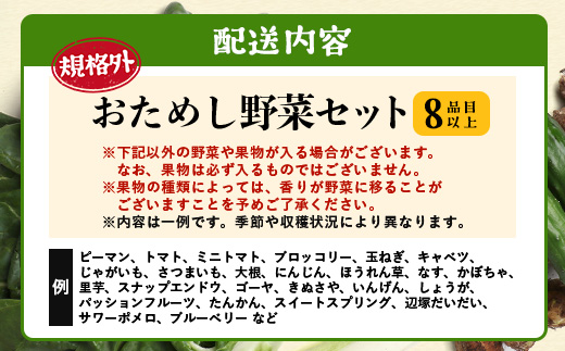 【規格外】本土最南端から 旬のお試し 野菜セット 8品目以上 NI-2 ｜ 旬 野菜 やさい 果物 くだもの 産地直送 農産物 冷蔵 鹿児島県 南大隅町産 詰合せ おまかせ 家庭用 訳あり なんたん市場
