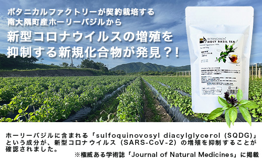 ホーリーバジル茶（30g×1個）｜ホーリーバジル 茶 ハーブティー リラックス ボタニカノン BOTANICANON ケミカルフリー 鹿児島県 南大隅町 ボタニカルファクトリー　BF-8