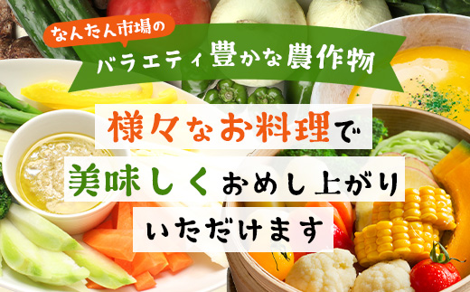 【規格外】本土最南端から 旬のお試し 野菜セット 8品目以上 NI-2 ｜ 旬 野菜 やさい 果物 くだもの 産地直送 農産物 冷蔵 鹿児島県 南大隅町産 詰合せ おまかせ 家庭用 訳あり なんたん市場