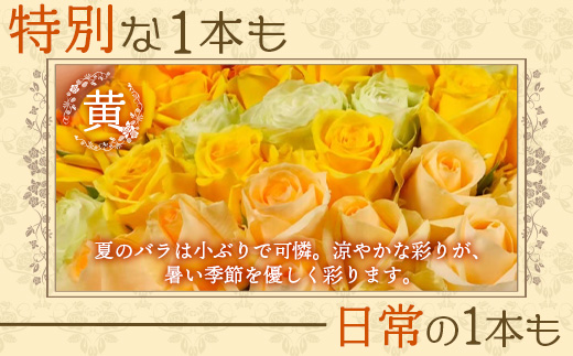 【日付指定必須・ギフト対応可】 夏季限定 ばら農家直送！バラ花束40本以上お届け(黄系) TB-7│ローズ 新鮮 花 フラワー 花束 ばら 薔薇 バラ 誕生日 記念日 結婚祝い ギフト プレゼント お祝い 贈り物 贈答 鹿児島県 南大隅町 富田バラ園