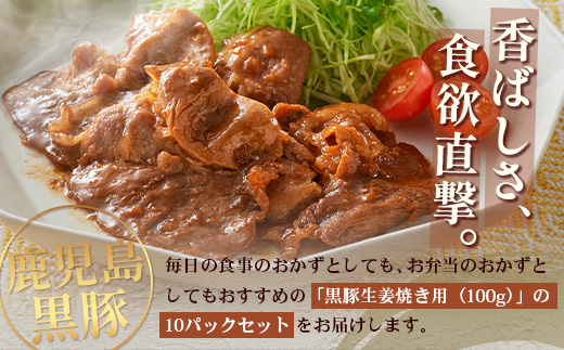 鹿児島県産 黒豚生姜焼きセット 約100g×10枚 味付き肉 冷凍 NS-23| 鹿児島 黒豚 かごしま黒豚 お肉 肉 豚肉 しょうが焼き 焼くだけ 味付き おかず お弁当 加工肉 真空パック 鹿児島県 南大隅町 南州農場