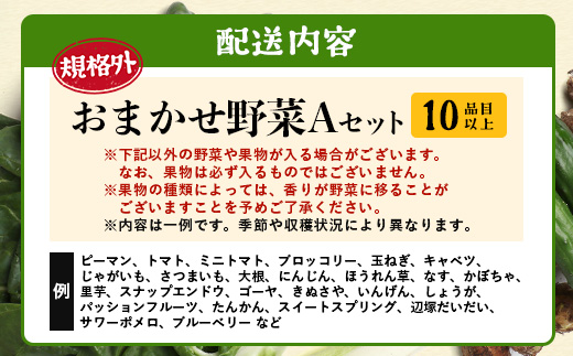 【規格外】本土最南端から 旬のおまかせ野菜セットA 10品目以上 NI-3 ｜ 旬 野菜 やさい 果物 くだもの 産地直送 農産物 冷蔵 鹿児島県 南大隅町産 詰合せ おまかせ 家庭用 訳あり なんたん市場