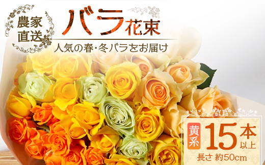 【先行予約】【人気の春・冬薔薇をお届け】ばら農家直送！バラ花束15本以上お届け(黄系) 【ギフト対応可】│ローズ 新鮮 花 フラワー 花束 ばら 薔薇 バラ 誕生日 記念日 結婚祝い ギフト プレゼント お祝い 贈り物 贈答 鹿児島県 南大隅町 富田バラ園 TB-11