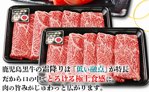 【鹿児島黒牛】ウデスライスセット計600g|鹿児島 牛 うし うで スライス 赤身 セット 国産 肉（W7002）
