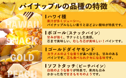 【先行予約・数量限定！】国産パイナップル　約3ｋg（3～5玉）～なか農園おまかせセット～ NK-001｜パイナップル パイン フルーツ 果物 くだもの 先行予約 数量限定 産地直送 新鮮 旬 ハワイ種 ピーチパイン ゴールドダイヤモンド ボゴール なか農園 鹿児島県 南大隅 