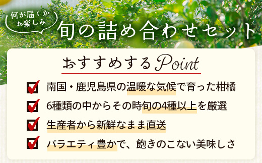 【数量限定】おたのしみ!旬の柑橘詰め合わせセット(4種約5kg) NK-4|果物 柑橘 大将季 ぽんかん スイートスプリング 津之輝 麗江 サワーポメロ 南大隅町 産地直送 詰め合わせ 5kg 国産 数量限定
