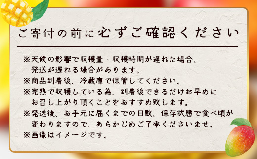 【先行予約】☆本土最南端☆佐多の果樹園で育てた 完熟アップルマンゴー 1kg (2～3玉) 【2026年7月上旬以降順次発送】 ST-407 ｜鹿児島県 南大隅町 産地直送 旬 マンゴー フルーツ 果物 くだもの アップル マンゴー 詰め合わせ 第一佐多果樹園