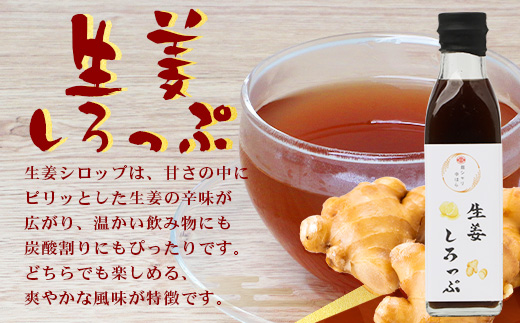 【先行予約・数量限定】日本料理人が作る シロップ 3種類 Bセット/辺塚だいだいシロップ・梅シロップ・生姜シロップ (各240ｇ×1瓶) GN-15｜鹿児島県 南大隅町 果物 うめ ショウガ しょうが フルーツ シロップ 希釈 甘み 酸味 甘さ控えめ お菓子づくり 手づくり 新鮮 旬  銀シャリ中はら