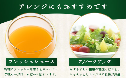 【数量限定】おたのしみ!旬の柑橘詰め合わせセット(4種約5kg) NK-4|果物 柑橘 大将季 ぽんかん スイートスプリング 津之輝 麗江 サワーポメロ 南大隅町 産地直送 詰め合わせ 5kg 国産 数量限定