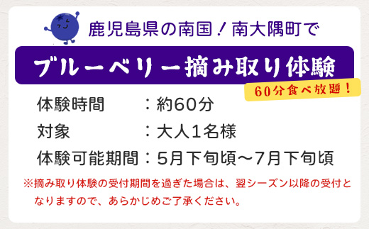 鹿児島県の南国！南大隅町の農園で、ブルーベリー摘み取り体験♪ ブルーベリー摘み取り体験チケット（60分食べ放題） ≪大人1名様分≫ BO-3｜鹿児島県 南大隅町 農園 収穫体験 果物 ブルーベリー チケット 体験 本土最南端