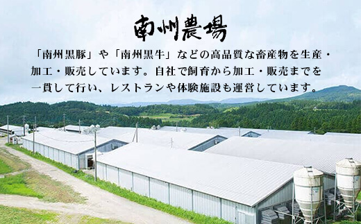 鹿児島県産 黒豚バラエティ詰合せ Bセット（ロース味噌漬け・生姜焼き・ハンバーグ）味付き 冷凍  NS-11❘ 加工肉 肉 お肉 豚肉 豚 にく ぶた かごしま黒豚 ロース肉 みそ漬け しょうが焼き ハンバーグ おかず ジューシー 小分け ギフト おかず お弁当 国産 鹿児島県 南大隅町 南州農場