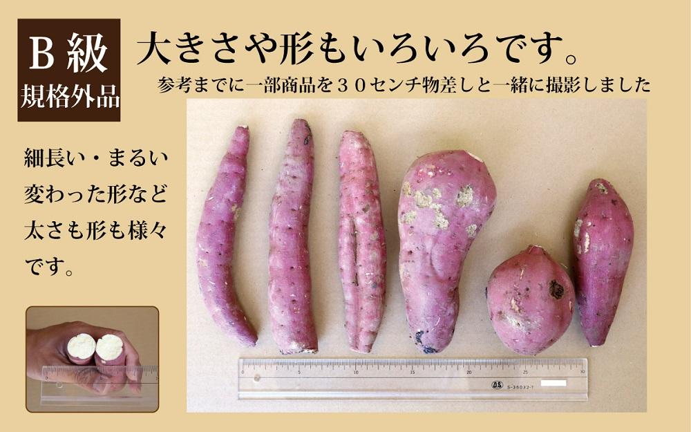 訳あり さつまいも 紅はるか 堀りたて5kg ( 1箱 ) 新物 鹿児島県産 2024年12月末までに出荷