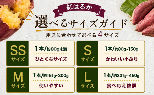【先行予約：11月下旬配送～】熟成 さつまいも 紅はるか 5kg Lサイズ (おすそ分け袋／美味しい焼き芋の焼き方 説明書付き） FR-216 ｜ 秋の味覚 2026年秋収穫 貯蔵 長期熟成 糖化 さつまいも サツマイモ 感動サツマイモ 焼き芋 べにはるか 大きめ 野菜 ねっとり 濃厚 おやつ おかず お弁当 煮物 芋ごはん 味噌汁 産地直送 鹿児島県 南大隅町 株式会社フォレスト