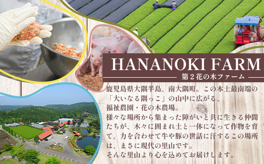 【全12回定期便】厳選！花の木農場スペシャル定期便 HK-28│定期便 ハム ベーコン クラフトハム 人気 豚肉 しゃぶしゃぶ 豚しゃぶ スライス バラ ロース モモ 鍋 惣菜 おかず お弁当 肉 国産 ノウフク 農福連携 鹿児島県 南大隅町 第2花の木ファーム