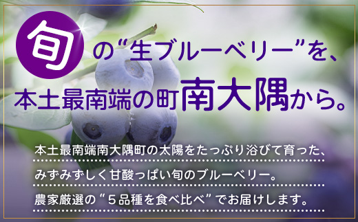 【期間限定】南大隅産 (生)ブルーベリー / 食べ比べセット (5品種) ≪100g×5P≫ BB-2｜鹿児島県 南大隅町 旬 産地直送 果物 ブルーベリー フルーツ くだもの 新鮮 農園 冷蔵 本土最南端
