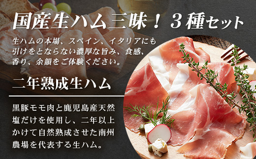 南州農場 国産生ハム三昧！ ハム好きのための 生ハム3種セット NS-33 | 熟成 生ハム 国産 南州黒牛 豚肉 ３種 セット 食べくらべ セット 県知事賞 食品産業センター会長賞 受賞 南大隅町 南州牧場