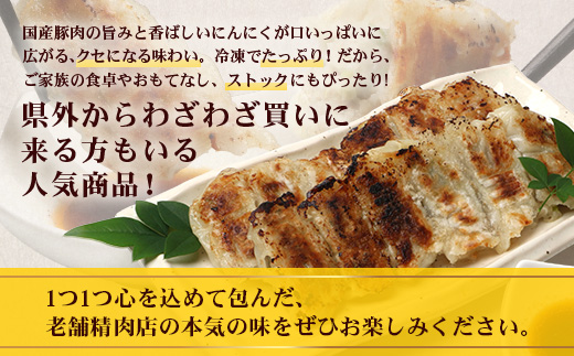 佐多の田中肉屋ニンニクたっぷりやみつき餃子 120個