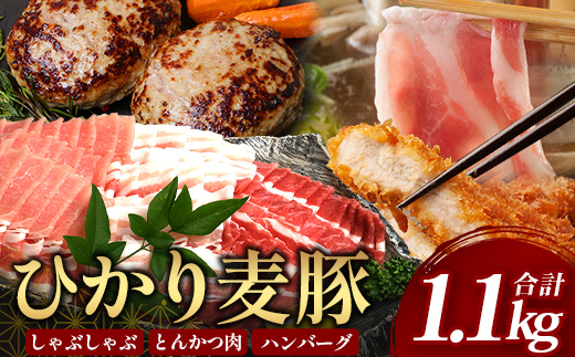 鹿児島県産 ひかり麦豚【しゃぶしゃぶ 食べ比べ + とんかつ肉 + ハンバーグ】セット ≪合計1.1㎏≫ HM-702  | 肉 お肉 にく 豚肉 ロース 肩ロース バラ肉 スライス 冷凍 産地直送 新鮮 送料無料 鹿児島県 南大隅町