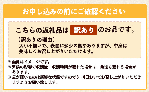 【訳あり】《先行予約》南大隅の太陽浴びた甘くて・おいしい ぽんかん 約5kg【数量限定】＜2026年1月中旬以降順次発送＞ ID-2｜訳あり 訳アリ ぽんかん ポンカン 柑橘 カンキツ 柑橘類 詰め合わせ 産地直送 先行予約 おすすめ 人気 南大隅町