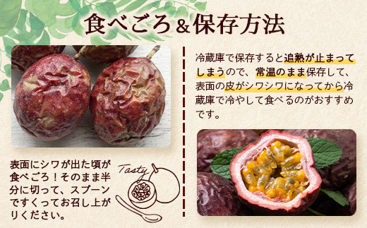 【2026年・先行予約】【訳あり】家庭用パッションフルーツ2kg（約22～24個）濱田農園 HB-708 ｜先行予約 産地直送 新鮮 パッション フルーツ 南大隅町 果物 果実 プレゼント濱田農園 家庭用 人気 南国フルーツ 鹿児島県 南大隅町 hello! brand new days 