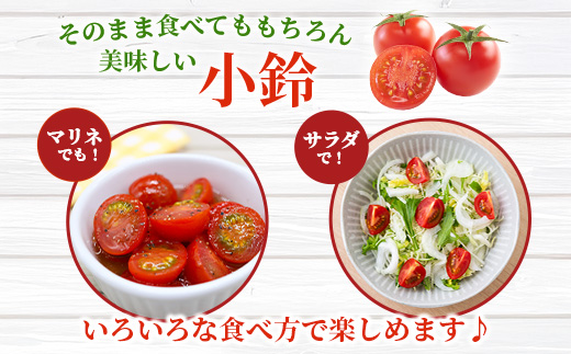 【先行予約】田淵さんちの美味しいミニトマト 小鈴2kg（1.0kg×２箱）