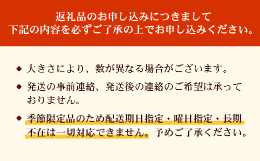 【2026年・先行予約】贈答用パッションフルーツ1kg （約11個） 濱田農園 ｜先行予約 産地直送 新鮮 パッション フルーツ 南大隅町 果物 果実 ギフト プレゼント濱田農園 贈答用 人気 南国フルーツ  HB-706