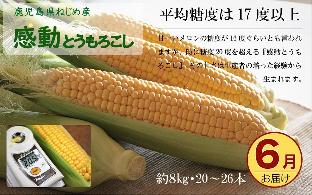 定期便 年4回 農家の感動シリーズB ( 冷凍焼き芋 ゴールドラッシュ 塩茹で落花生  紅はるか )