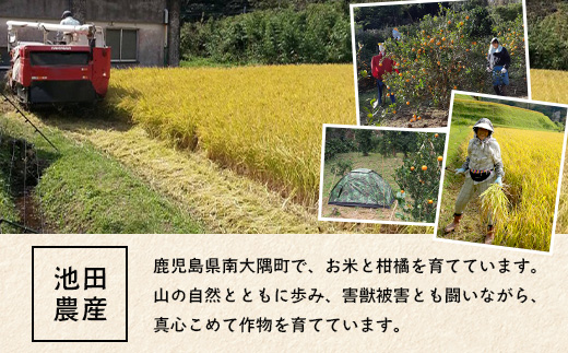 【訳あり】≪先行予約・数量限定≫鹿児島県南大隅産スイートスプリング 約5kg ID-12 ｜鹿児島県 南大隅町