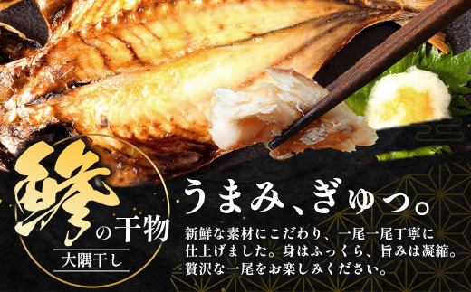 鹿児島県産 アジ 干物 大サイズ×2枚 ≪合計2枚≫［1枚 約22～25センチ］PT-1 | 開き 大隅干し 冷凍 国産 鯵 ひもの 海鮮 新鮮 瞬間冷凍 産地直送 鹿児島県 南大隅町 ピットスリー