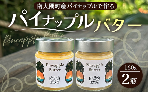 絶品！南大隅町産 【パイナップルバター】約160g× 2瓶 HB-3 ｜パイナップル バター フルーツ ジャム 加工品 スプレッド 国産 南国フルーツ 手作り 鹿児島県  南大隅町 hello! brand new days　