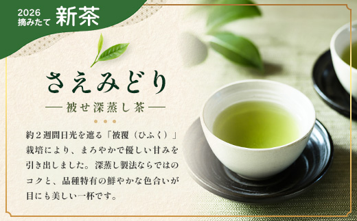 【至福のひとときを贈る】ナナ茶　極上！飲み比べ３種セット RS-14｜高級緑茶 被せ茶 玉露仕立て 鹿児島茶 茶 茶葉 お茶の葉 日本茶 新茶 鹿児島茶 無農薬 化学肥料不使用 シングルオリジン ブレンド茶 ケルセチン おしゃれ ギフト 贈答 プレゼント 特別 ティーバッグ 鹿児島県 南大隅町 株式会社Re-Shine