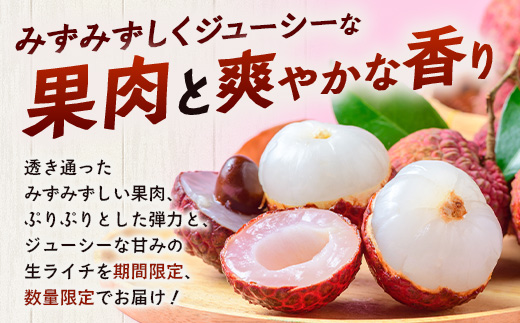 【今が旬！数量限定】本土最南端よりお届け！希少生ライチ（約400g）TE-1｜国産 果物 ライチ らいち 生 枝付き 栽培期間中 無農薬 ぷりぷり ジューシー 産地直送 限定 鹿児島県 南大隅町 有限会社ティエラ