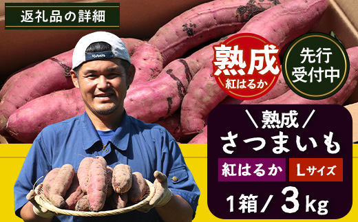 先行予約【2025年11月下旬より順次発送】【鹿児島県産】熟成 紅はるか 3kg (1箱 ) Lサイズ さつまいも（AX7531）