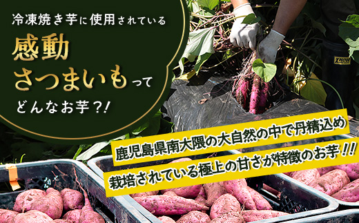 【冷凍焼芋】感動さつまいも　紅はるか　500g×5パック（AX7504）