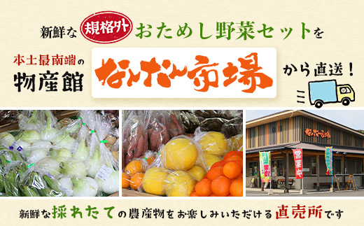 【規格外】本土最南端から 旬のお試し 野菜セット 8品目以上 NI-2 ｜ 旬 野菜 やさい 果物 くだもの 産地直送 農産物 冷蔵 鹿児島県 南大隅町産 詰合せ おまかせ 家庭用 訳あり なんたん市場