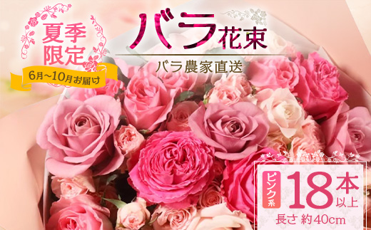 【日付指定必須・ギフト対応可】夏季限定 ばら農家直送！ バラ花束18本以上お届け(ピンク系) TB-2│ローズ 新鮮 花 フラワー 花束 ばら 薔薇 夏 バラ 誕生日 記念日 結婚祝い ギフト プレゼント お祝い 贈り物 贈答 鹿児島県 南大隅町 富田バラ園