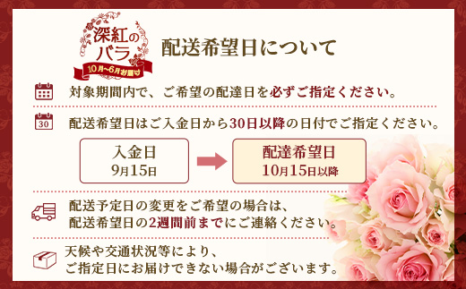 ※先行予約※【数量限定・ギフト】 ばら農家直送！深紅の薔薇20本お届け TB-17│ローズ 新鮮 バラ 花 フラワー 花束 ばら 薔薇 誕生日 記念日 結婚祝い プロポーズ ギフト プレゼント お祝い 贈り物 贈答 鹿児島県 南大隅町 富田バラ園