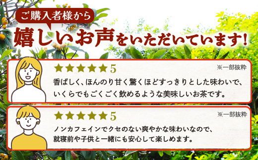 根占枇杷茶 徳用茶葉  1袋（250g入）煮出し用 | ねじめ びわ茶 国産 大容量 トルマリン石 焙煎 健康茶 お茶 煮だし 飲みやすい 香ばしい おいしい びわの葉 鹿児島県 南大隅町 十津川農場　TO-18-NP