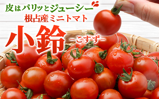 【先行予約】田淵さんちの美味しいミニトマト 小鈴2kg（1.0kg×２箱）