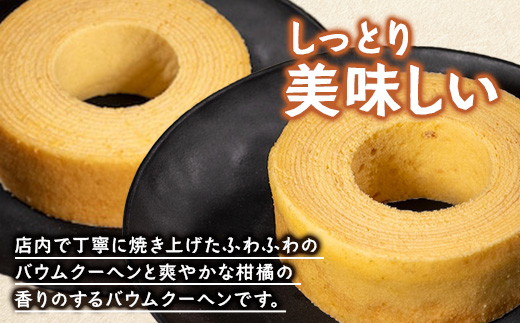 バウムクーヘン 2個セット ( プレーン ・ たんかん )｜菓子 おかし スイーツ デザート バウムクーヘン 食品 人気 おすすめ たんかん 柑橘 SH-714